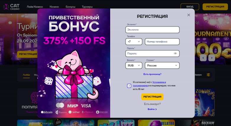 Cat Casino - регистрация на официальном сайте Cat Casino - регистрация на официальном сайте